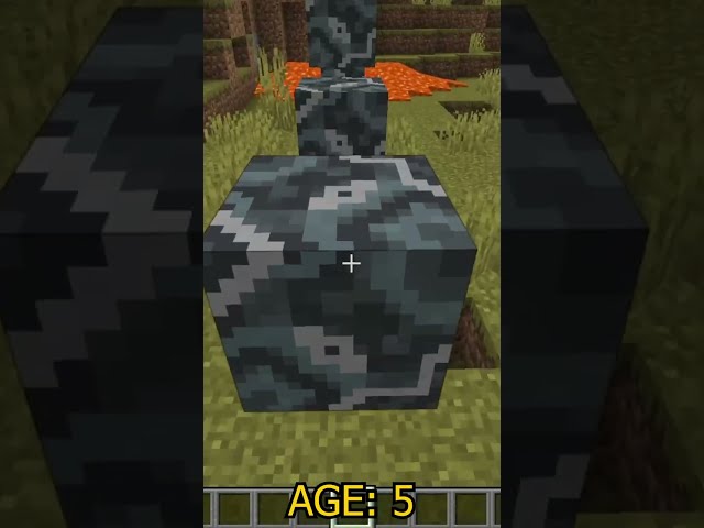 Minecraft Parkour At Different Ages  #shorts