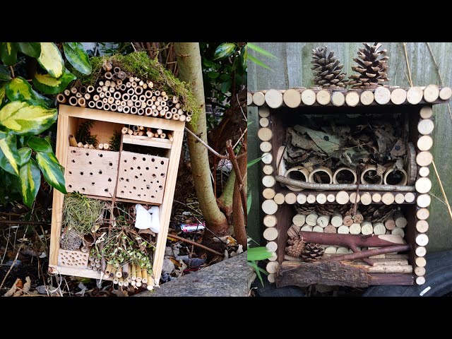 How to Make insect Hotel tutorial and questions and answer session tomorrow (2020 Hanson Box)