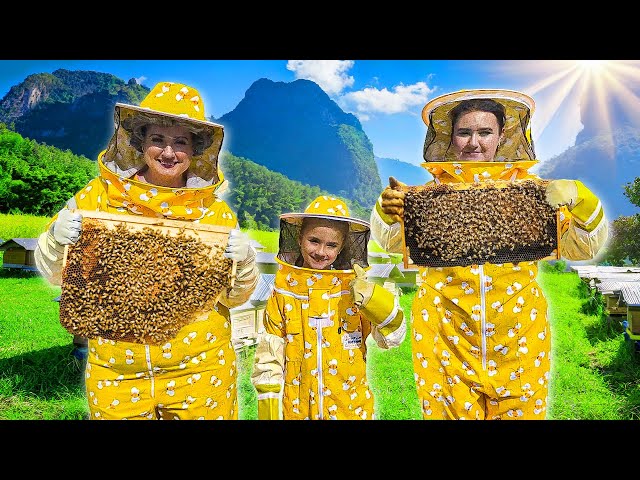 Ruby and Bonnie learn about Bees for kids