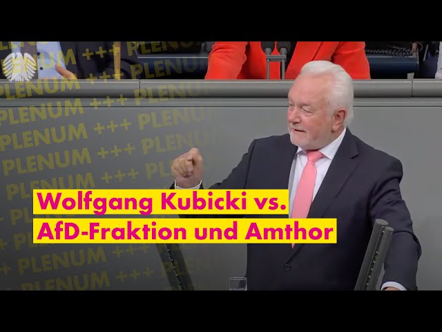 Irrer AfD-Antrag: Wolfgang Kubicki räumt auf!