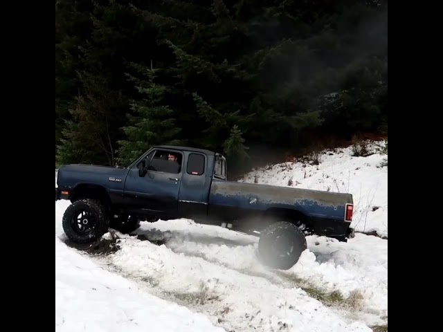 Loud first gen Cummins gets stuck in snow!