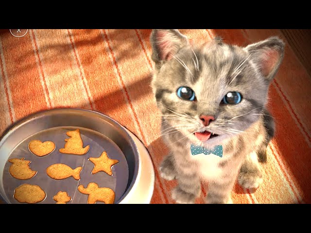 Little Kitten Adventures Best Learning Video for Toddlers Funny Kittens Animated Stories Educational