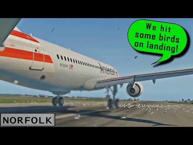 American A319 passes THROUGH A FLOCK OF BIRDS on landing | Engine Damaged