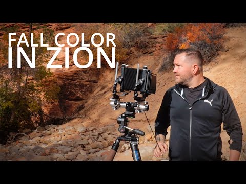 Fall 2021: Zion National Park