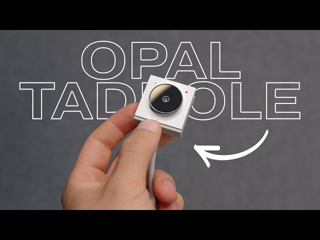 Opal Tadpole – Tiny-Sized Webcam for Work & Travel!