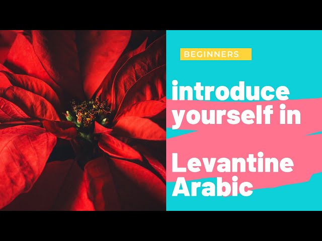 How to introduce yourself in  Levantine Spoken ARABIC (Syrian, Lebanese, Palestinian and Jordanian )