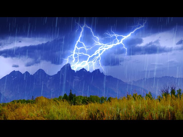 Relaxing Sounds of Rain & Thunderstorm ⛈️ White Noise for Sleeping, Studying or Stress Relief