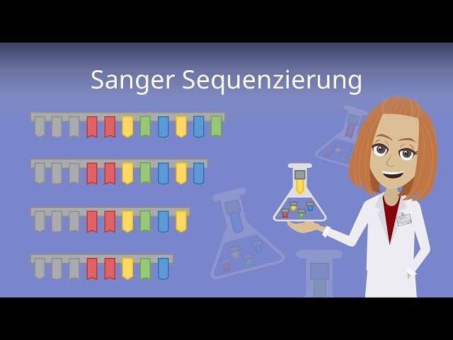DNA-Sequenzierung nach Sanger einfach erklärt!