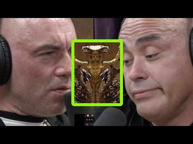 Eddie Bravo Exposes “Luciferian” Elements at Vatican