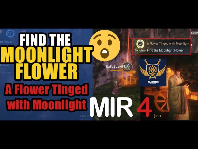 Find The Moonlight Flower "A Flower Tinged with Moonlight" | MIR4 Request Walkthrough #MIR4 Taoist