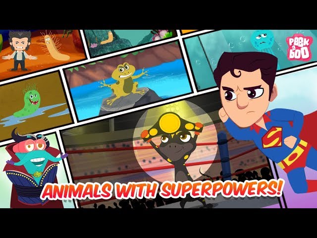 Animals With Superpowers! - The Dr. Binocs Show | Best Learning Videos For Kids | Peekaboo Kidz