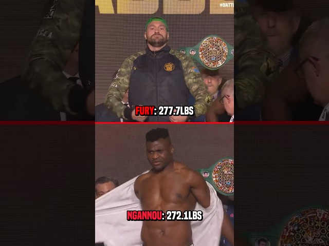 Tyson Fury outweighs Francis Ngannou