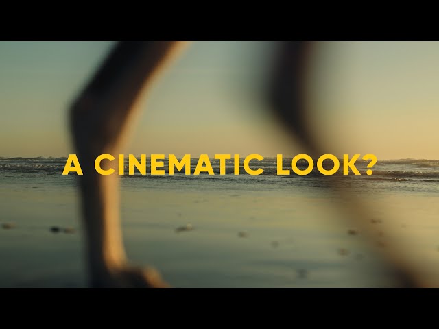 A Cinematic Look? One Month on Vintage Lenses.