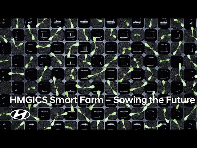 Hyundai Motor Group Innovation Center Singapore (HMGICS) Smart Farm | Sowing the Future