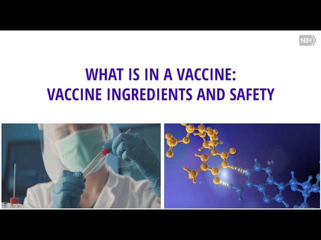 What Is In A Vaccine: Vaccine Ingredients And Safety