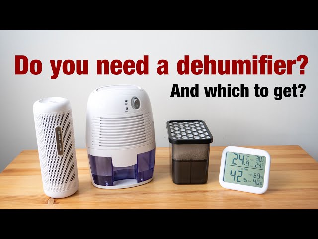 Do you need a dehumidifier? And which to get?