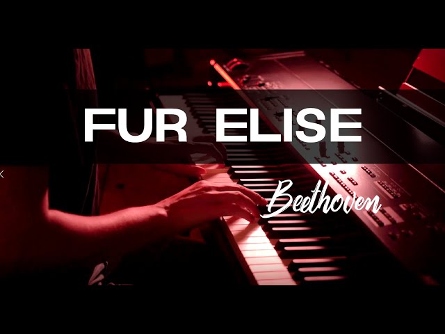 Fur Elise - Beethoven - Best piano classics - Kawai MP11SE