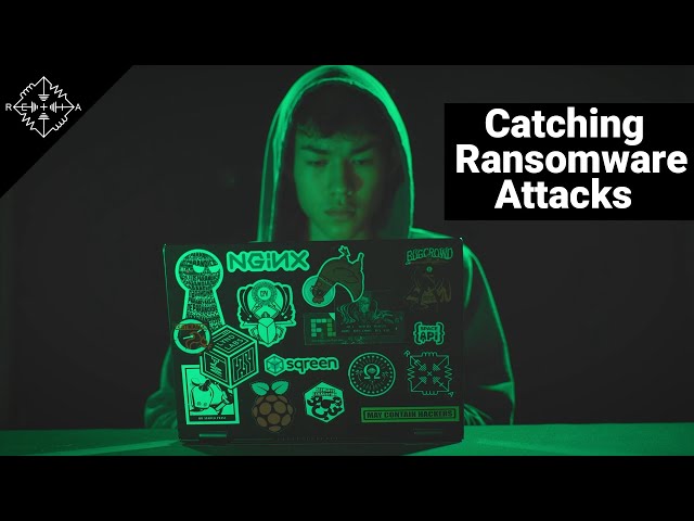 How Companies Catch Ransomware Hackers