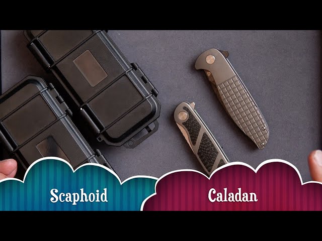 Jim Skelton Scaphoid and Caladan by Tuyaknife
