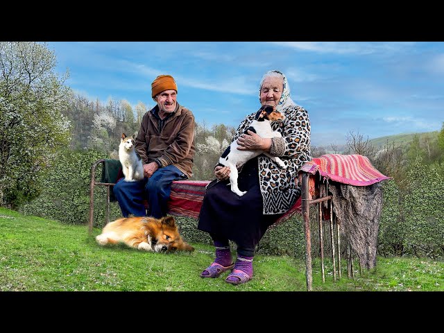 Happy old age of an elderly couple with their animal friends in a mountain village