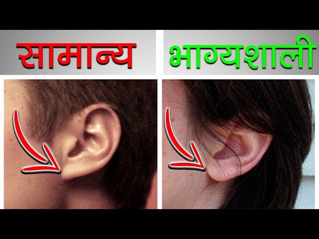 आपके कान के बारे में इंटरेस्टिंग जानकारी - कान बहुत कुछ कहता है | Scientific Facts About Human Ear