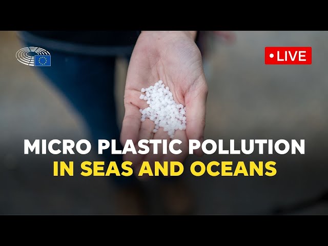 Reducing micro plastic pollution in seas and oceans and restoring marine biodiversity