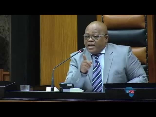 Lindiwe Zulu the butt of jokes in Parliament