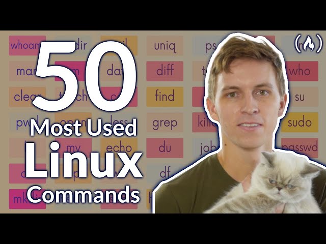 The 50 Most Popular Linux & Terminal Commands - Full Course for Beginners