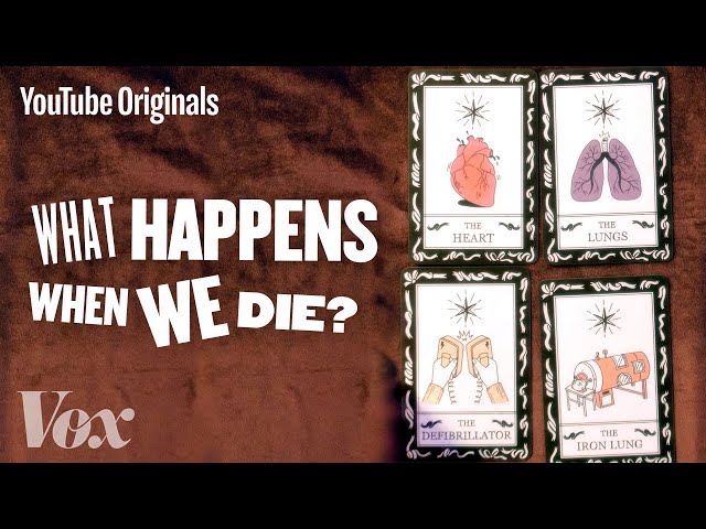 What Happens When We Die? - Glad You Asked S1
