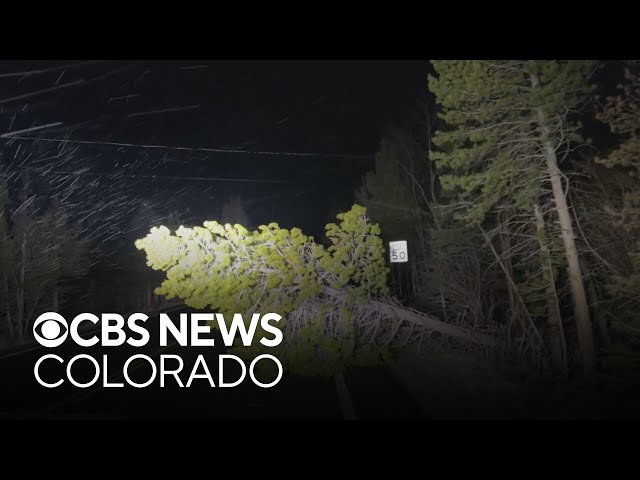 Powerful winds tear down trees and knock out power along the Front Range