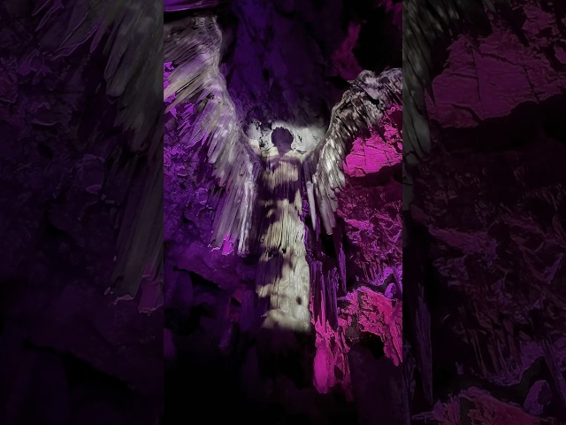 Have you seen the Angel in this Gibraltar cave? #angel #rockofgibraltar