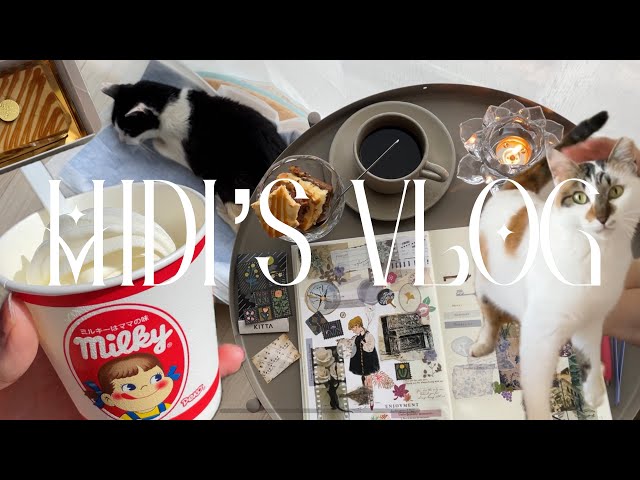 coffee, cafe, the big cleaning day, new air purifier, cats, journal, Midi's Vlog, Hello My Book