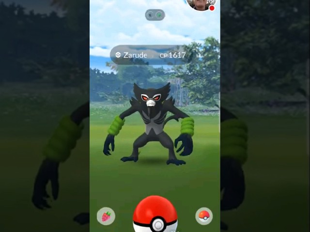 Catching ZARUDE in Pokémon GO!