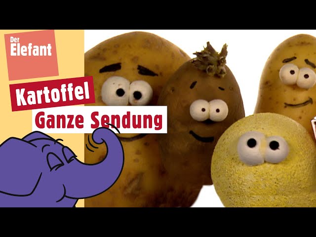 Wer hat die Pommes Frites erfunden?  | Der Elefant | WDR