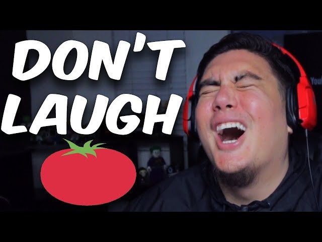 STARTING OFF THE YEAR LAUGHING LIKE A JAPANESE SCHOOL GIRL | Try To Make Me Laugh