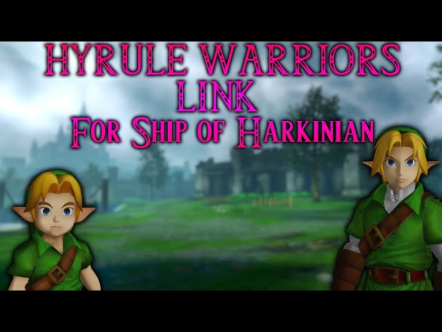 Hyrule Warriors Styled Link for Ship of Harkinian