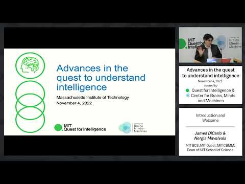 Advances in the quest to understand intelligence