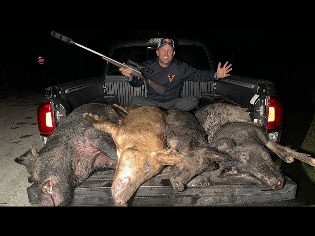Giant Wild Hogs are destroying the Ranch! Hunting Late at Night with Thermal Optics!
