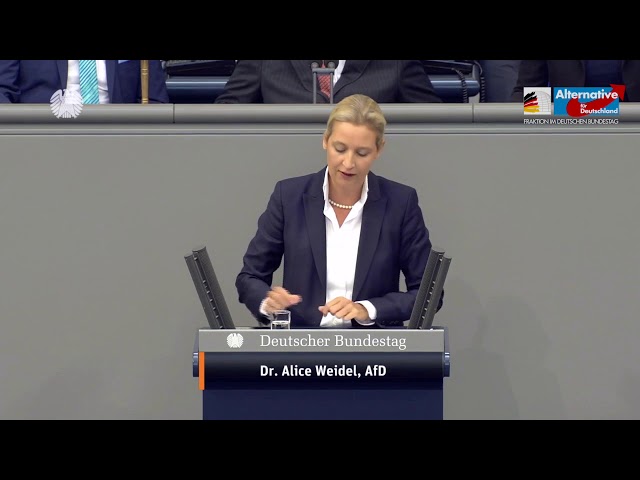 Die nächste Welle steht schon vor der Tür! - Alice Weidel - AfD-Fraktion im Bundestag