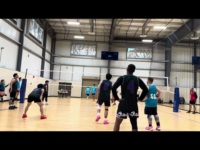 cinco de mayo volleyball tourney 5/5/24 game 8