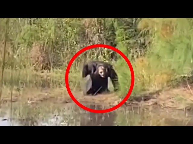 Top 10 Scary Videos That Will Give You Chills