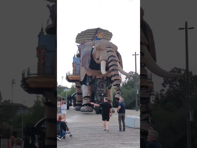 Huge elephant robot