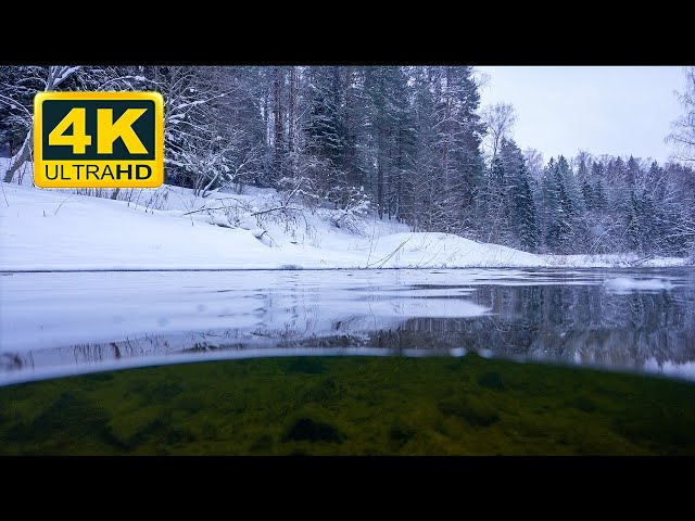 Underwater River 4K! Relaxing water sounds for study and sleep. Cozy ambience