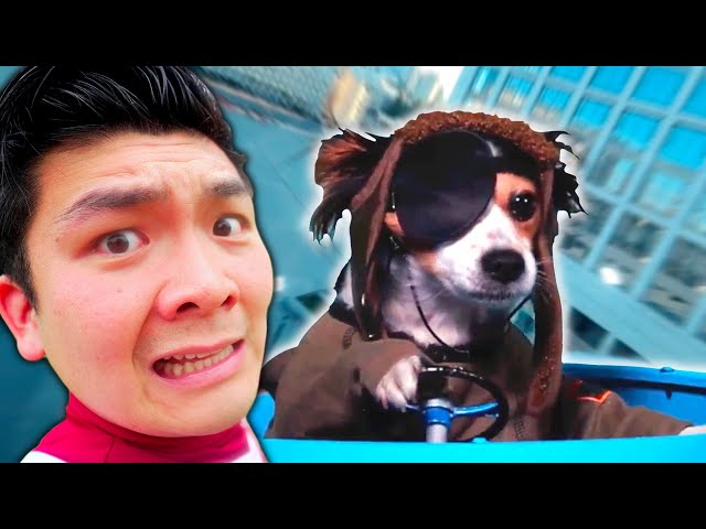 Jet-flying Cats and Dogs?! Ginormo! EP5