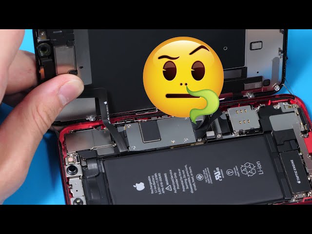 Your Phone Kinda Smells.... iPhone 11 Battery Replacement
