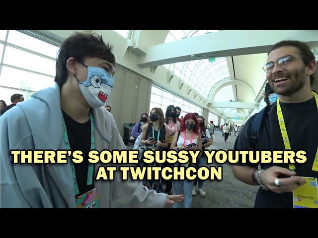Sykkuno Fires Back at Toast & Hasan for Roasting Him for Showing at TwitchCon