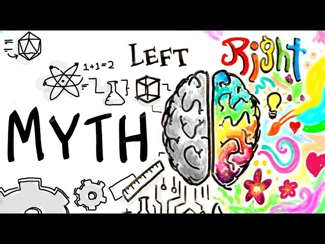 Left Brain Right Brain is a MYTH