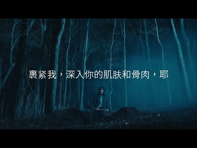 David Kushner - Skin and Bones (Chinese Lyric Video)