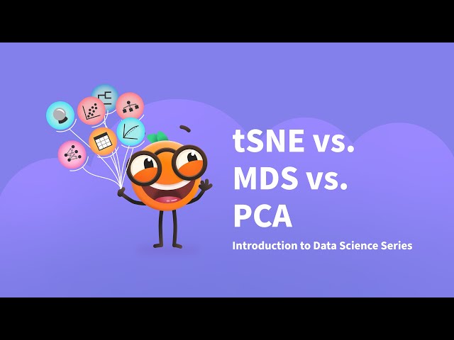 tSNE vs MDS vs PCA
