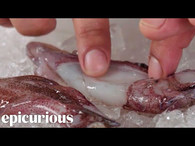 Red Flags When Buying Fresh Squid